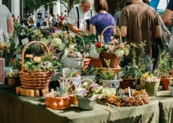 The Basket Weaving Business