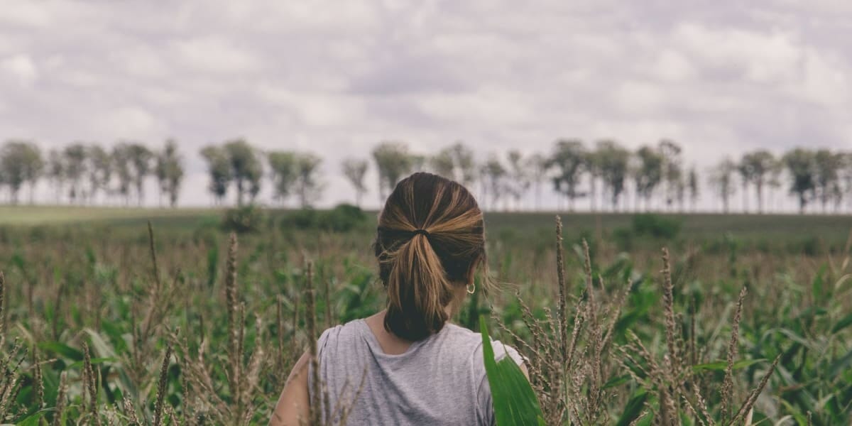 Sugarcane Cultivation