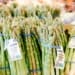 The Asparagus Farming Business