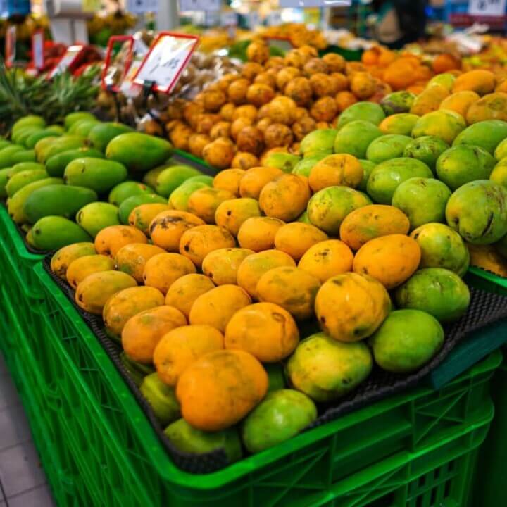 The Mango Cultivation