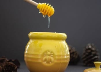 Honey Production Business