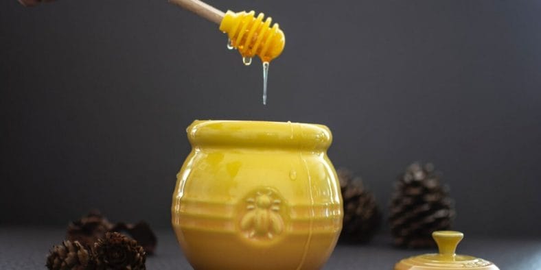 Honey Production Business