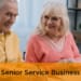 Senior Service Business