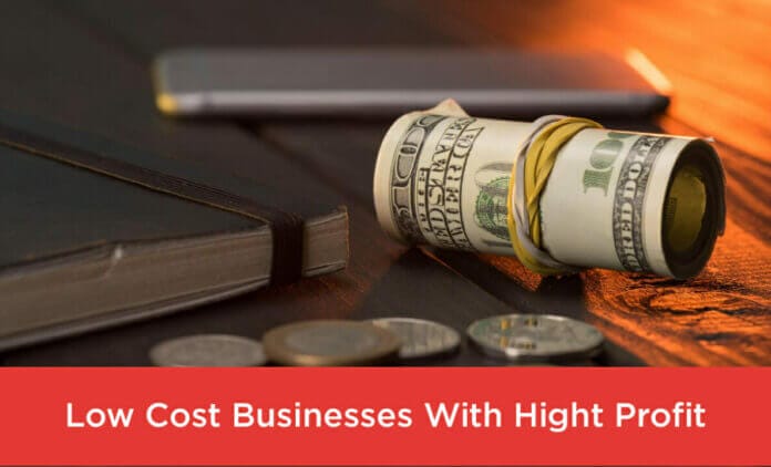 low cost business ideas with high profit