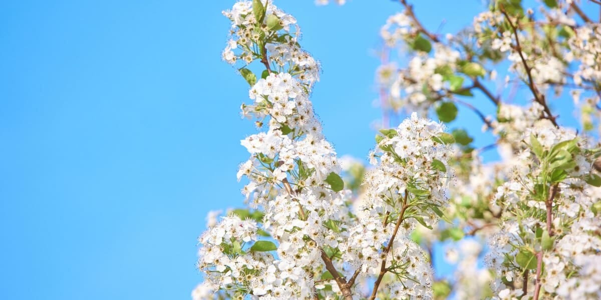 The Catchy Artificial Flower