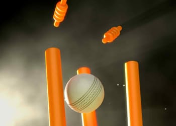 Cricket Business Ideas