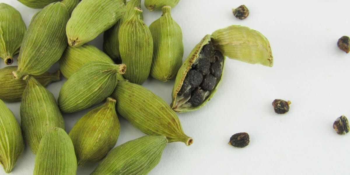 Cardamom Business