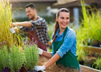 Landscaping Business Ideas