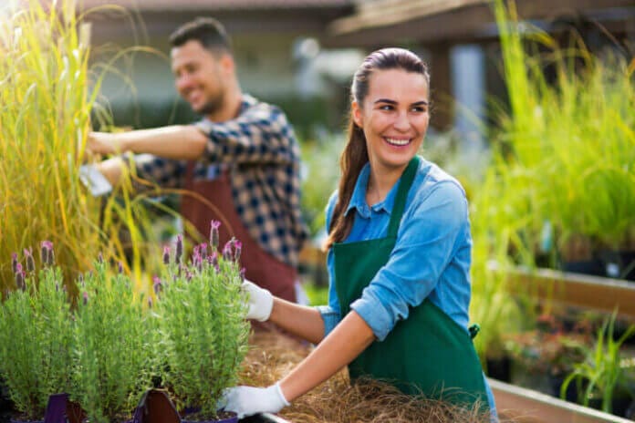 Landscaping Business Ideas