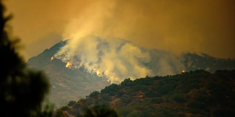 LA Wildfires